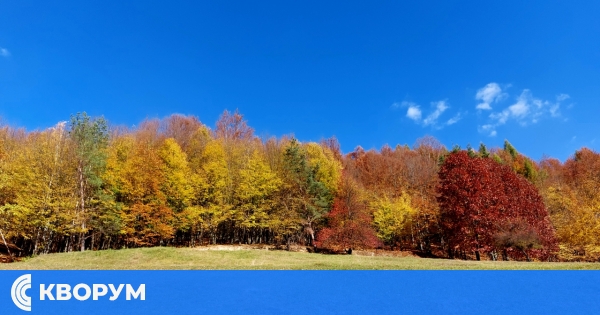 1 304 проверки в горите на Централна Северна България през септември