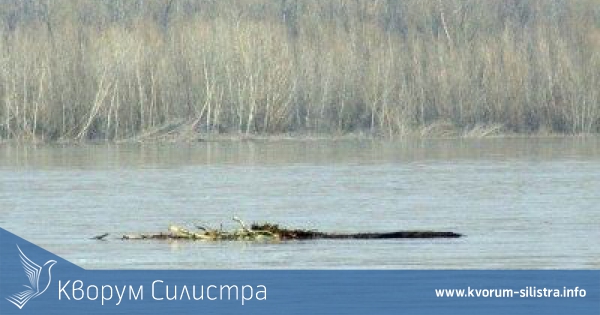 Нивото на Дунав край Силистра се покачва застрашително