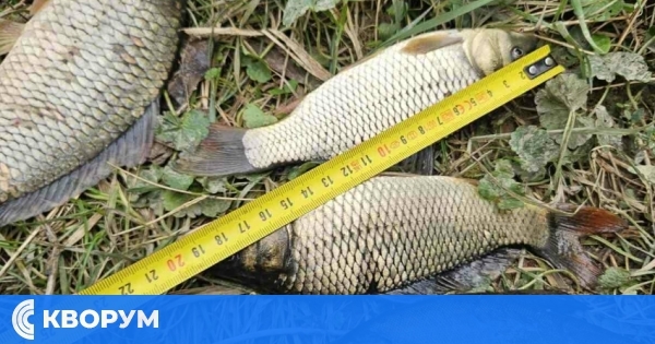 Инспектори на ИАРА – Русе санкционираха петима риболовци при проверки по река Янтра