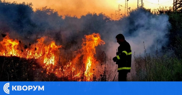 Над 155 хиляди декара гори унищожени от пожари у нас през 2025 година