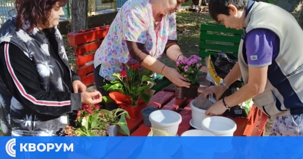 Потребителите на ЦНСТПЛУИ – Силистра развиват трудови и социални умения чрез практическа дейност