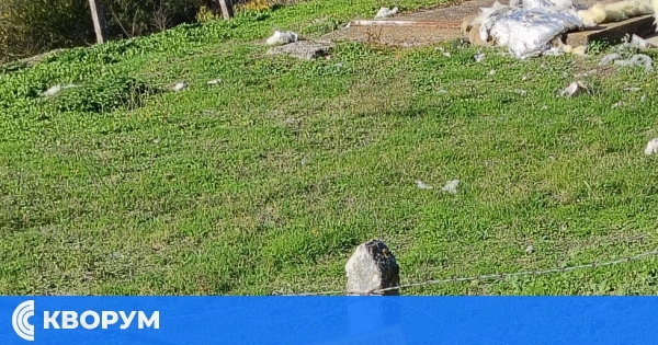 Кметът на Средище с призив към ВиК – Силистра: Погрижете се за санитарната зона, от която се захранват четири села!