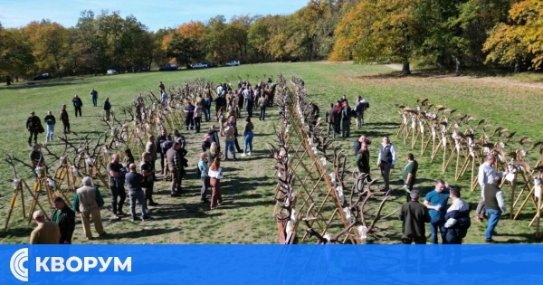 Популациите на благороден елен и елен лопатар в Североизточна България са стабилни и се увеличават