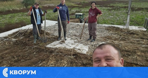 Доброволци подновиха тръстиковите покриви на платформите за пеликани в защитена местност "Калимок–Бръшлен"