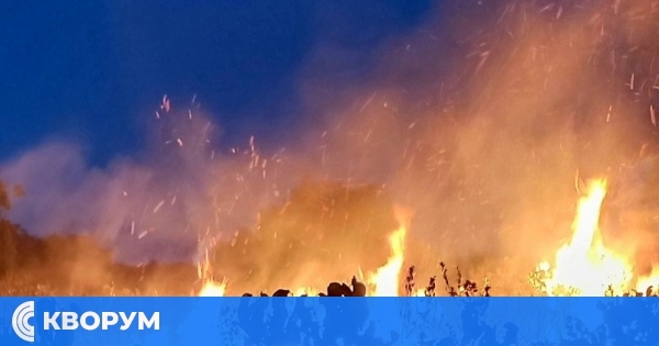 1 860 дка горски територии са изгорели в Централна Северна България от началото на годината