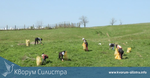 Област Силистра на 5-то място в страната по брой на доброволци, участвали в почистването