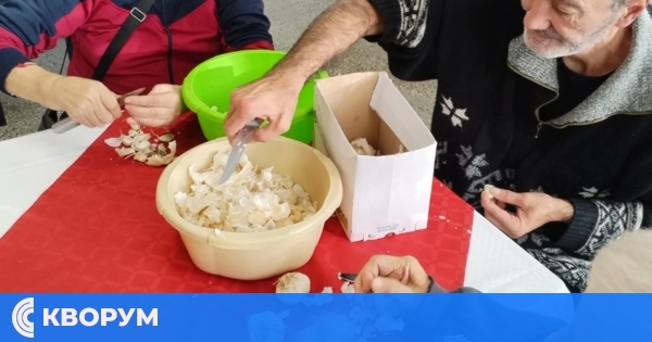 Дом за стари хора – с. Айдемир: Обитателите активно се включиха в помощ за кухненските дейности