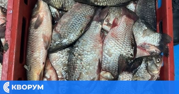 Жандармеристи от Кълъраш конфискуваха 60 килограма риба