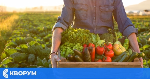 Оранжерийните производители предупреждават: очаква се ново поскъпване на зеленчуците през 2026 г.