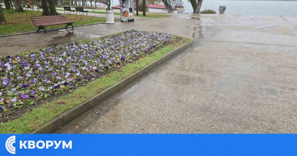 Времето днес в Силистренско: валежи след обяд и максимална температура около 11°