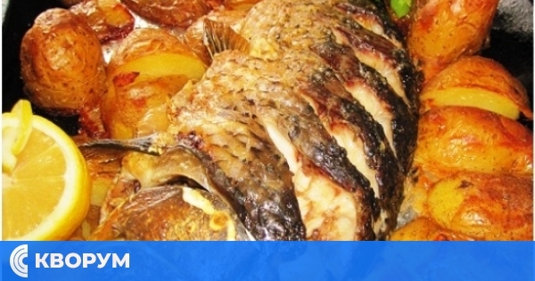 Шаранът поскъпва за Никулден: Цената скача до 14 лева, но има и бюджетни варианти