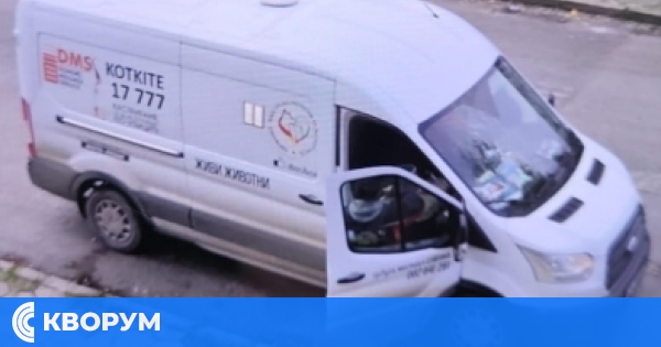 Сигнал от граждани: Притеснения за действия по залавяне на бездомни кучета в Тутракан