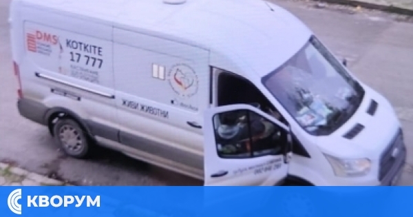 Как община Тутракан контролира популацията на бездомните кучета – официалният отговор