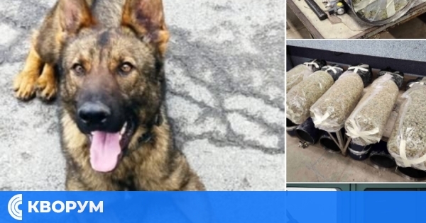 Служебно куче помогна за разкриването на мащабен наркотрафик