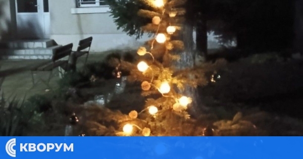 Коледната елха пред Кметското наместничество в село Богорово светна