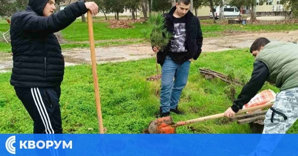 ПЗГ "Добруджа" – Силистра с празничен жест: ученици засадиха елхичка в училищния двор