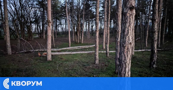 По-топло време в област Силистра: температурите днес достигат до 8 градуса