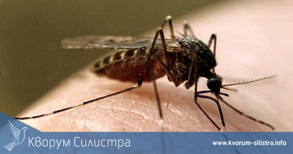 Пръскат срещу комари и кърлежи в Силистренско