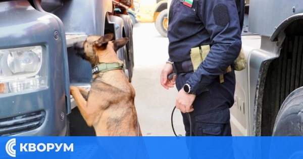 Орка – първото служебно куче в България, обучено да открива фалшиви банкноти