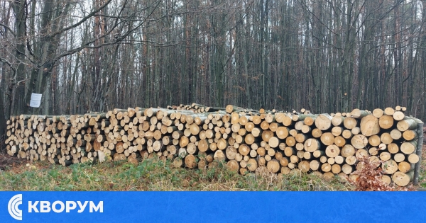 Дулово, Тутракан и Силистра: как се снабдиха домакинствата с дърва за огрев