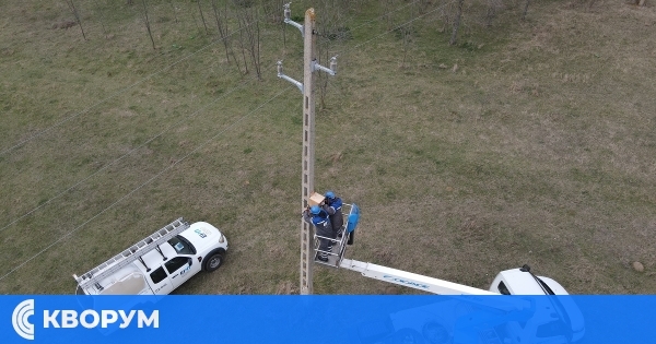 ЕРП Север обезопаси 4 590 електрически стълба в защита на птиците