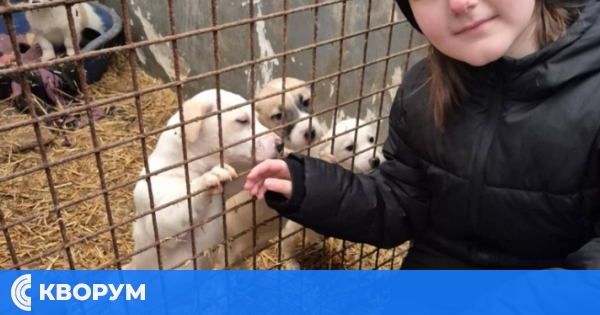 Ученици от ОУ "Иван Вазов" подкрепиха кампанията "Жълти стотинки – щастливи лапички"
