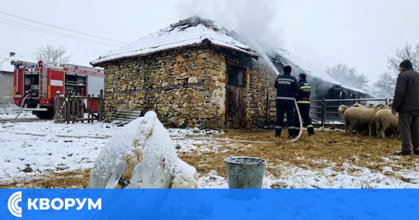 Кварцова лампа запали покрив на животинска ферма в силистренско село