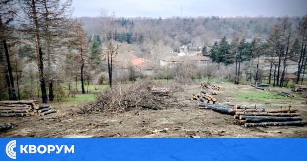 Започва почистване и обезопасяване на парка зад училището в село Срацимир