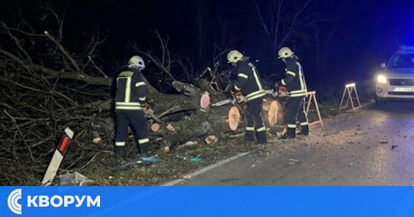 Отстраниха паднало дърво, блокирало пътя в района на "Памук кулак" край Силистра