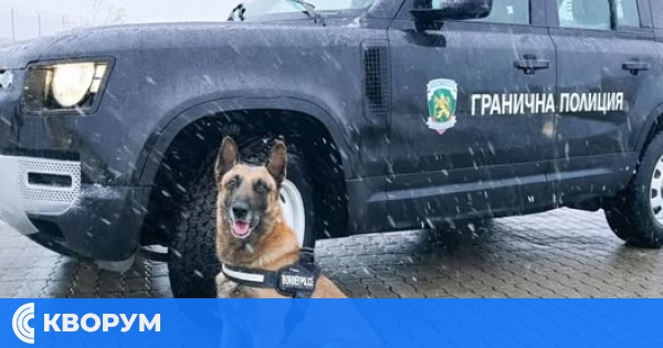 Български гранични полицаи помогнаха за откриването на изгубена румънка край Силистра