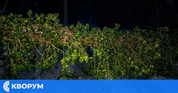Пътната обстановка в Силистра към 21:00 ч.: Закъсали коли край Сребърна и Богданци, паднало дърво до Алфатар