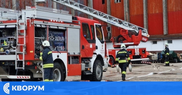 Два пожара в комини и паднало дърво отстраниха огнеборците в Силистренско