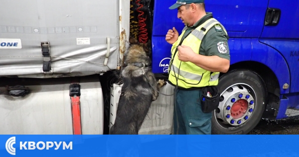 Граничарското куче Пирин откри близо 46 кг марихуана