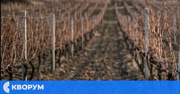 30 години труд не стигат: Община Силистра спечели дело за земеделски земи