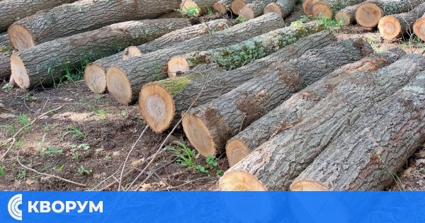 1 112 проверки в горите на Централна Северна България през февруари