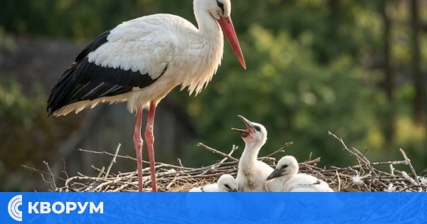 Изложби, празници и литературни срещи в Силистра през следващата седмица