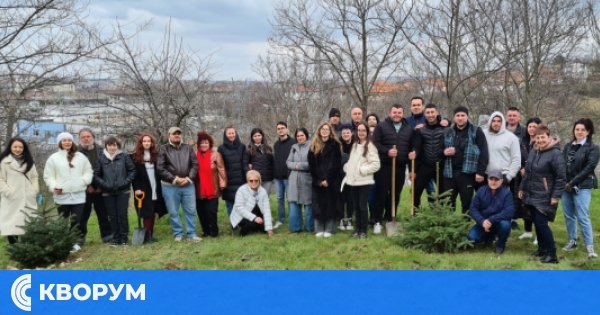 Три нови борчета в двора на университета в Силистра