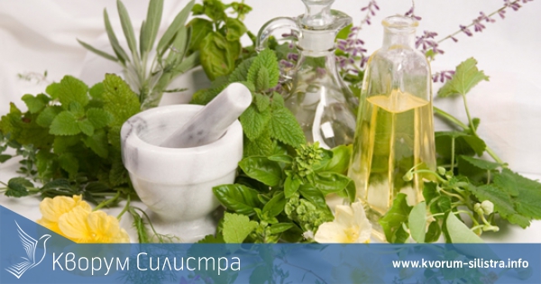 Само една фирма е заявила количества билки под специален режим за опазване и ползване