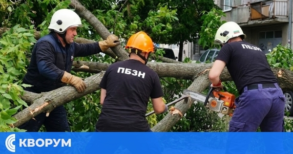 Огнеборци гасиха пожар в село Овен и премахнаха опасен клон в Силистра