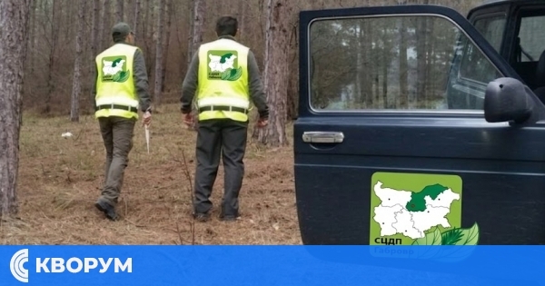 Осъдиха горски стражари в Силистра за съставяне на фалшив протокол