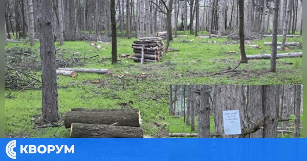 Продължава санитарната сеч край "Меджиди табия" в Силистра