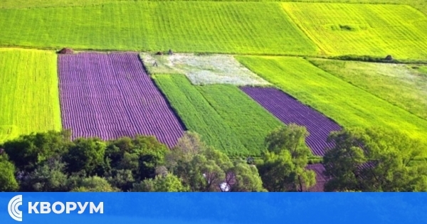 Турски гражданин спаси земите си в Силистренско от измамници