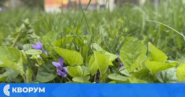 Започва пръскане против кърлежи в Силистра – ето графика по дни и райони