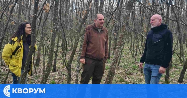 Проект за подобряване на горите в НАТУРА 2000 напредва – дейности и в районите на Силистра и Тутракан