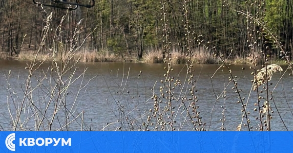 Община Силистра започна кампанията срещу комарите с ларвицидни обработки