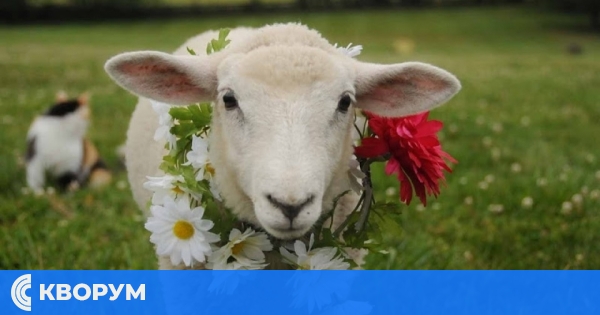 Общоселско веселие за Гергьовден събира жители и гости в Айдемир