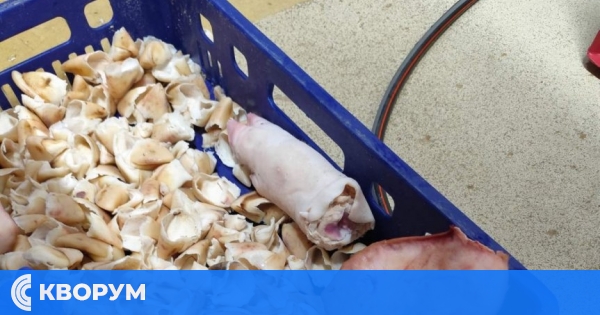 Над 3,5 тона опасно месо открити в Дулово