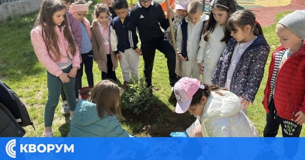 Малките "Усмивки" от ДГ "Роза" засадиха борче в Силистра