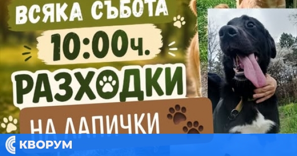 Доброволческите разходки за бездомни кучета вече ще се провеждат всяка събота в Силистра