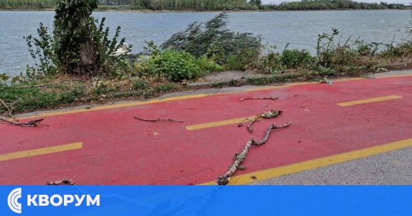 Жълт код за силен вятър в Силистра в неделя